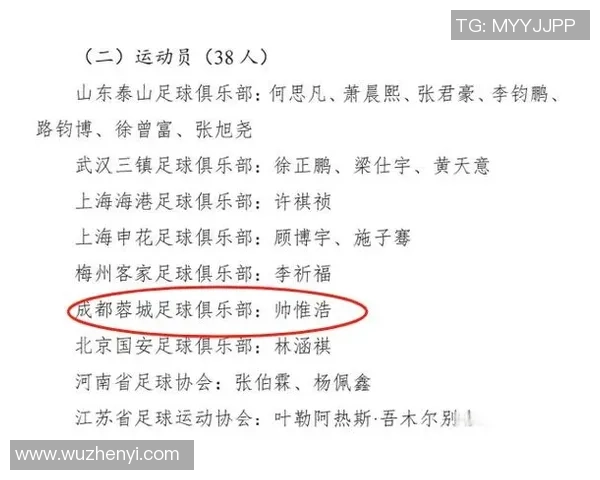 中国内足球的崛起与挑战：从青训体系到职业联赛的全面分析与展望