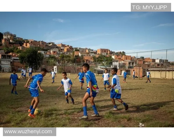 足球海燕：在绿茵场上追逐梦想的青春故事与奋斗精神