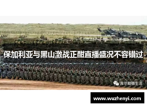 保加利亚与黑山激战正酣直播盛况不容错过