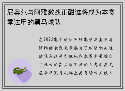 尼奥尔与阿雅激战正酣谁将成为本赛季法甲的黑马球队